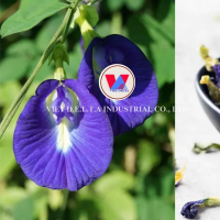 TRADITIONAL DRIED BUTTERFLY PEA FLOWER / ORGANICALLY SOURCED & COLOR-RICH / AFFORDABLE BULK SUPPLY / MADE IN VIETNAM 