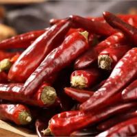 TRADITIONAL DRIED CHILI / SUN-DRIED QUALITY / MADE IN VIETNAM