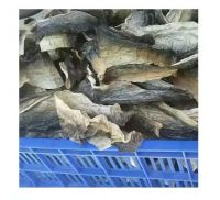 SEASONED FISH SKIN / BASA FISH CRUNCH / MADE IN VIETNAM