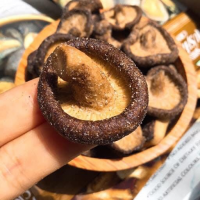 SHIITAKE CRUNCH / HEALTHY DRIED MUSHROOM CHIPS / MADE IN VIETNAM