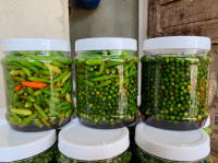 EXQUISITE GREEN PEPPERCORN IN BRINE / NATURALLY PRESERVED & PERFECTLY PACKAGED / AFFORDABLE BULK DEALS AVAILABLE / MADE IN VIETNAM 