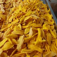 SOFT DRIED MANGO SLICES / ORIGINAL TASTE & CHILI SALT / FRESHLY MADE / LOW COST