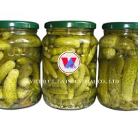 PICKLED BABY CUCUMBERS / LIGHTLY SEASONED / FARM-TO-TABLE QUALITY / BEST PRICE / MADE IN VIETNAM 