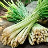 FRAGRANT AND FRESH SLICED LEMONGRASS / FAMILY RECIPE / AFFORDABLE VALUE / MADE IN VIETNAM
