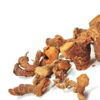 SPICY AND EARTHY FRESH GALANGA / LOCALLY GROWN / AFFORDABLE PRICE / MADE IN VIETNAM