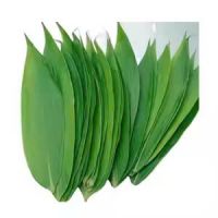 GENTLY DRIED BAMBOO LEAVES / FAMILY TRADITION / HOLISTIC BENEFITS / MADE IN VIETNAM