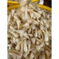 PICKLED LEEKS IN BRINE / FRESHLY CANNED / TRADITIONAL TANGY TASTE / MADE IN VIETNAM