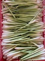 DELICATELY DRIED LEMONGRASS / FAMILY RECIPE / AFFORDABLE VALUE / MADE IN VIETNAM