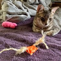 CUTE AND CHEWY LOOFIE MOUSE TOY / GREAT FOR SMALL PETS / LONG-LASTING FUN / HANDCRAFTED IN VIETNAM