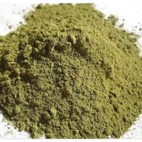 BEST GUAVA LEAF POWDER / PURE, FRESHLY GROUND / BOOST YOUR HEALTH / MADE IN VIETNAM