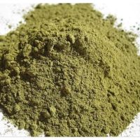 GUAVA LEAF POWDER / HEALTHY LIFESTYLE CHOICE / BEST WHOLESALE PRICES / MADE IN VIETNAM