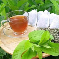 GUAVA LEAF TEABAGS / ORGANIC HERBAL TEA / HEALTH BENEFITS / BEST CHOICE / MADE IN VIETNAM