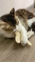 LOOFAH MOUSE CHEW TOY FOR PETS / DURABLE & SOFT / PET-SAFE DESIGN / HANDMADE IN VIETNAM