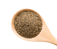 PREMIUM ORGANIC CELERY SEEDS / HIGH NUTRITION / NATURAL FLAVOR / MULTI-PURPOSE / MADE IN VIETNAM
