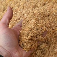 VERSATILE WOODUST POWDER FOR INDUSTRIAL USE / ECO-FRIENDLY SOLUTION / MADE IN VIETNAM