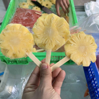 FROZEN PINEAPPLE SLICES / RICH FLAVOR / IDEAL FOR CULINARY USE / EXCELLENT QUALITY / MADE IN VIETNAM