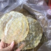 WHOLESALE DRIED BEEF FISH FROM VIETNAM / FARM-TO-TABLE QUALITY / PERFECT FOR EXPORT / UNSEASONED