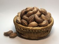SAVORY AND CRUNCHY SALTED ROASTED CASHEWS / HIGHLY ADDICTIVE TASTE / IDEAL FOR SNACKING / MADE IN VIETNAM