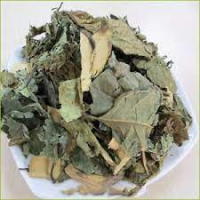 NATURAL DRIED CELASTRUS HINDSII / HIGH-QUALITY HERBAL TEA INGREDIENT / WHOLESALE SAVINGS / MADE IN VIETNAM
