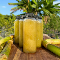 CLEAN AND DELICIOUS FROZEN SUGARCANE JUICE / HEALTHY DRINK / AFFORDABLE RATE / MADE IN VIETNAM