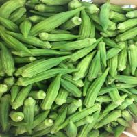 HAND-PICKED AND FRESH FROZEN OKRA / TOP QUALITY / COST-EFFECTIVE PRICE / HARVESTED IN VIETNAM