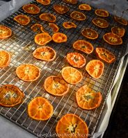 NATURAL AND DELICIOUS DRIED ORANGE FRUIT SLICES / PERFECT SNACK FOR ALL AGES / AFFORDABLE VALUE / MADE IN VIETNAM