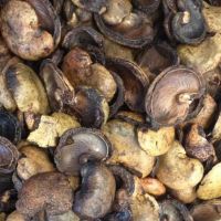 PREMIUM CASHEW SHELL OIL FOR INDUSTRIAL NEEDS / CERTIFIED QUALITY / AFFORDABLE VALUE