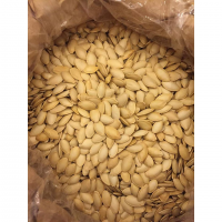 CLASSIC PLAIN ROASTED PUMPKIN SEEDS / FAMILY RECIPE / AFFORDABLE VALUE / MADE IN VIETNAM