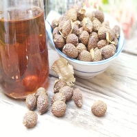 ORGANIC & PREMIUM RAW MALVA NUTS / TRADITIONAL RECIPE / BEST VALUE / MADE IN VIETNAM