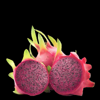 EXOTIC AND FRESH DRAGON FRUIT PUREE / FAMILY HARVEST / PURE DELIGHT / MADE IN VIETNAM