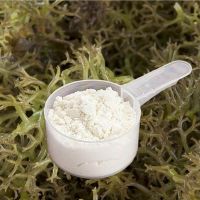 FOOD-GRADE CARRAGEENAN FROM VIETNAM / NATURAL SEAWEED GELLING AGENT