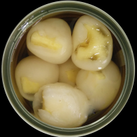 GUAVA IN CAN / FRESHLY CANNED GUAVA / VIETNAM EXPORT GUAVA