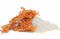 NATURAL CARRAGEENAN POWDER / HAND-SELECTED / PLANT-BASED