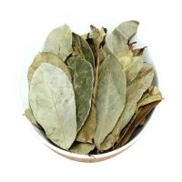 HIGH-GRADE DRIED SOURSOP LEAVES / VIETNAMESE EXPORT TEA LEAVES