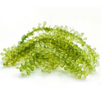 TASTY SEA GRAPES / NATURAL & FRESH / MADE IN VIETNAM