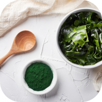 PURE GREEN FISH MINT FACE MASK / Refresh & Purify / Herbal Beauty / Made in Vietnam