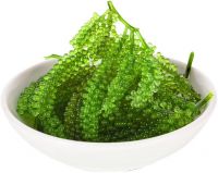 VIETNAMESE SEA GRAPES / FRESHNESS YOU CAN TASTE