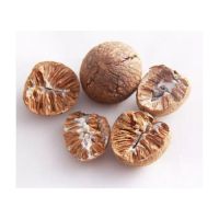 HIGH-QUALITY DRIED BETEL NUT / MADE IN VIETNAM