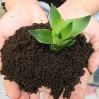 BIO-GOLD VERMICOMPOST / HIGH-QUALITY ORGANIC SOIL ENHANCER / AFFORDABLE VALUE / MADE IN VIETNAM