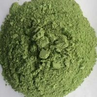 High Quality Organic Green Seaweed Powder , using the best Seaweed in Vietnam, factory price