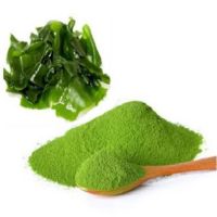 Affordable Wholesale Organic Green Seaweed Powder - Top-Quality, 100% Natural Ingredients, Ready for shipping