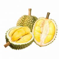 Hot Sale 100% Fresh Durian Cheap Price Food Premium Quality HACCP Natural Sweet Monthong Durian Pulp from Vietnam