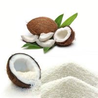 High Fat Medium Grade Desiccated Coconut / Delicious &amp; Nutritious / Perfect for All Your Baking &amp; Cooking Needs / Competitive Prices / Made in Vietnam