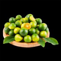 WHOLESALE FROZEN KUMQUAT JUICE/ PERFECT FOR BEVERAGES & DESSERTS