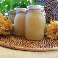 RAW & ORGANIC SEAMOSS GEL / NATURAL COLLAGEN BOOST / HEALTHY LIFESTYLE / MADE IN VIETNAM