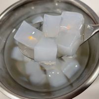 BEST VIETNAM COCONUT JELLY/ NATURAL TASTE & GREAT TEXTURE