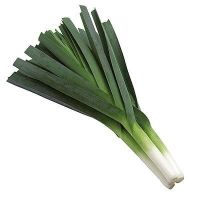 BEST PRICE FRESH LEEK/WHOLESALE BULK SUPPLIER/DIRECT FARM EXPORT