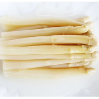 Tender White Asparagus Spears / Farm Fresh / Premium Quality / Made in Vietnam