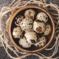 HOT SALE CANNED QUAIL EGGS/WHOLESALE HIGH QUALITY/EXPORT FACTORY PRICE