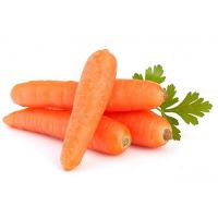 WHOLESALE FRESH CARROTS / NATURAL ORANGE ROOT VEGETABLES IN BULK